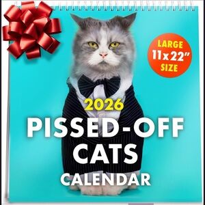 Pissed-Off Cats 2026 Calendar - Large 11x22 Size
